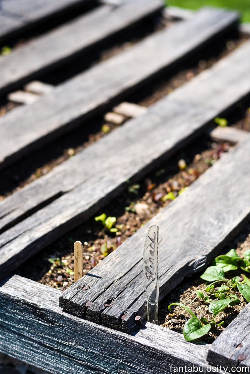 Raised garden bed - Greenhouse gardening ideas using some recycled items and other little tricks