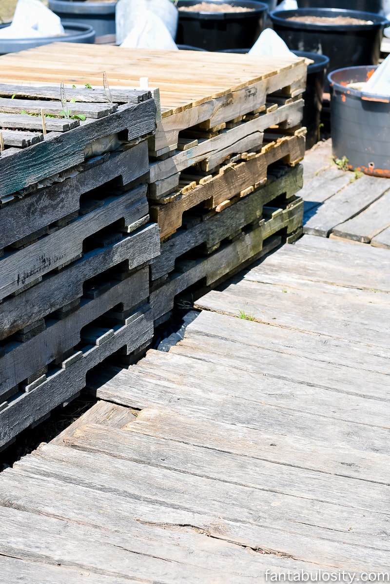 Raised garden beds out of pallets. Love this ideas. Greenhouse gardening ideas using some recycled items and other little tricks