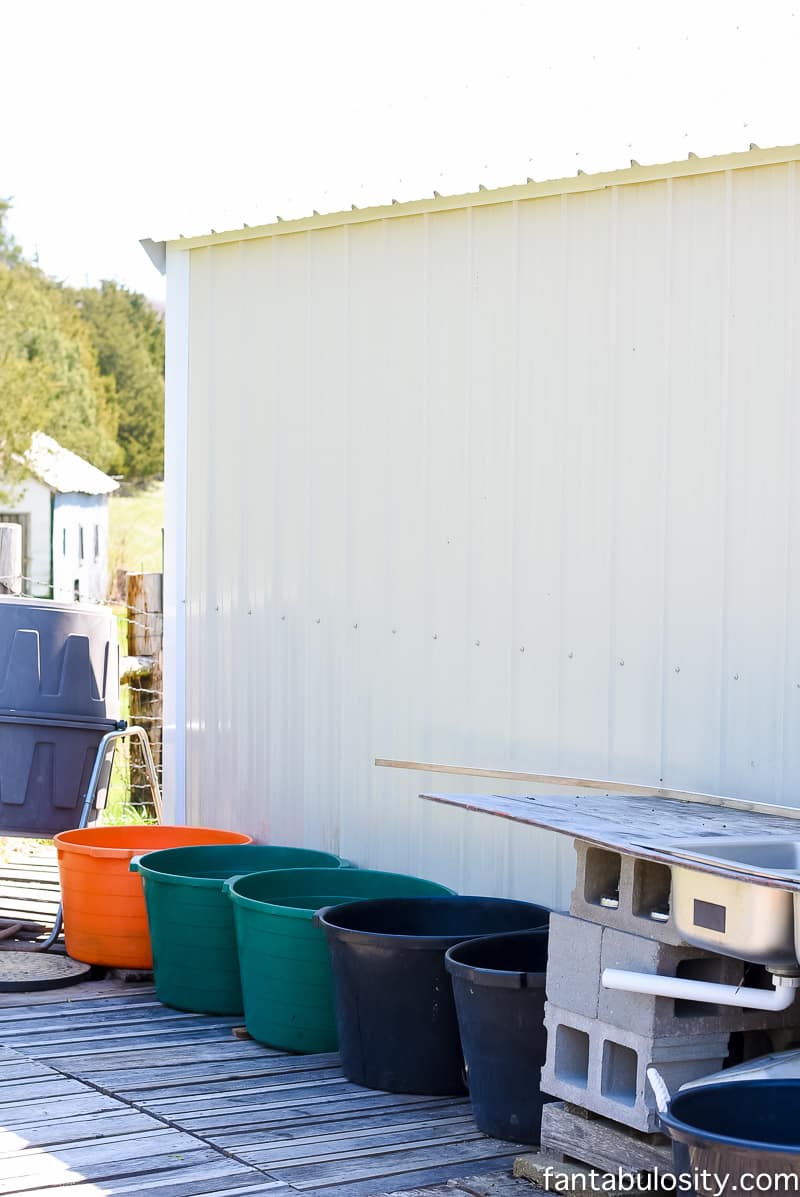 Catch rain water in buckets, off the roof of the green house to recycle the water. How awesome!