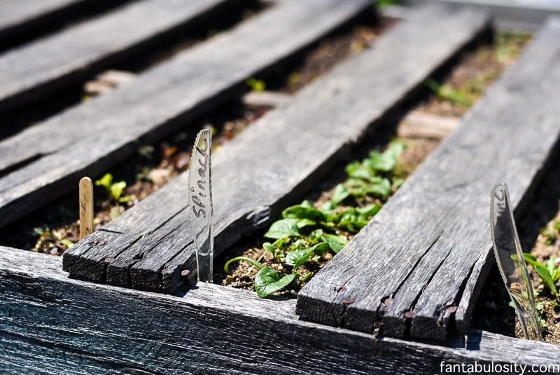 Raised garden beds out of pallets