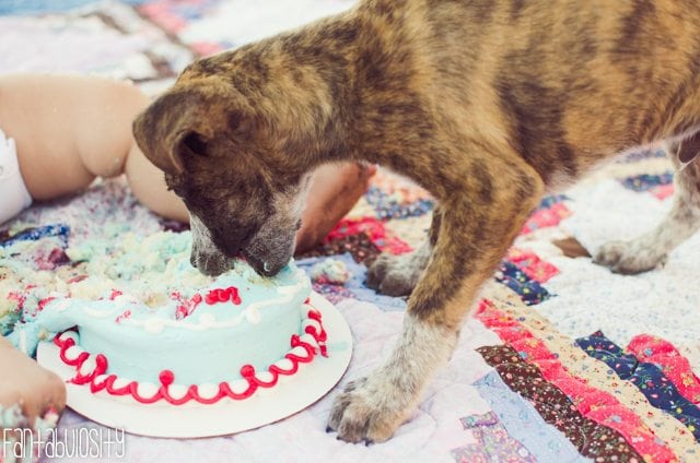 Airplane First Birthday Party Ideas