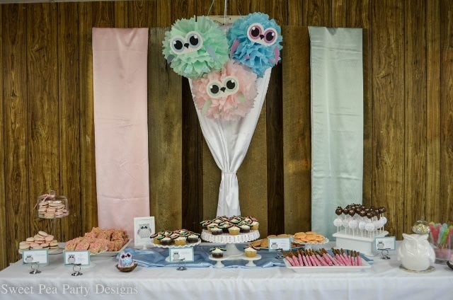 Owl-Baby-Shower-display table