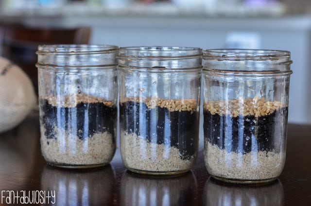 3 clear mason jars with sand, soil and seed.