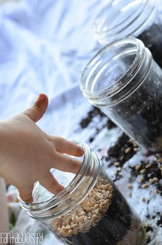 Toddler hand placing seeds in jar