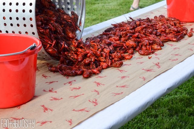 crawfish boil party 