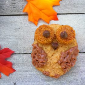 Peanut Butter Owl Cookies https://fantabulosity.com