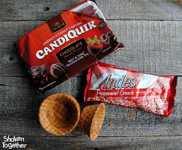 Regular waffle cone bowls are way more fun when they are dipped in chocolate and peppermint chips! What a fun way to serve ice cream, pudding or any sweet treat!