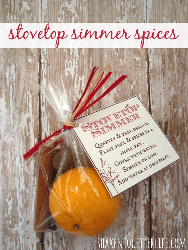 Stovetop Simmer Spices from Shaken Together