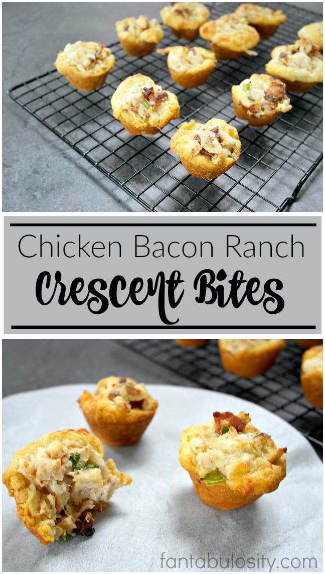 Ahhh! Yum!! These look AH-MAZING and EASY! Chicken Bacon Ranch Crescent Bites Easy appetizer idea