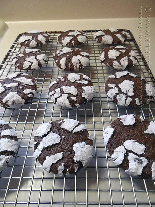 Chocolate Snow Cookies