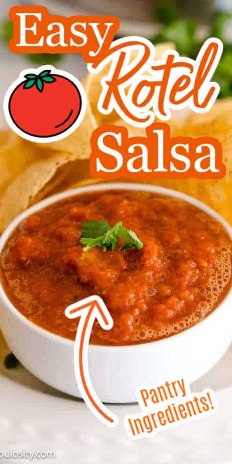 Rotel Salsa - in Under 1 Minute! - Fantabulosity