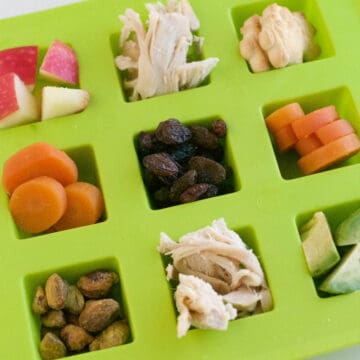 Toddler foods in ice cube tray