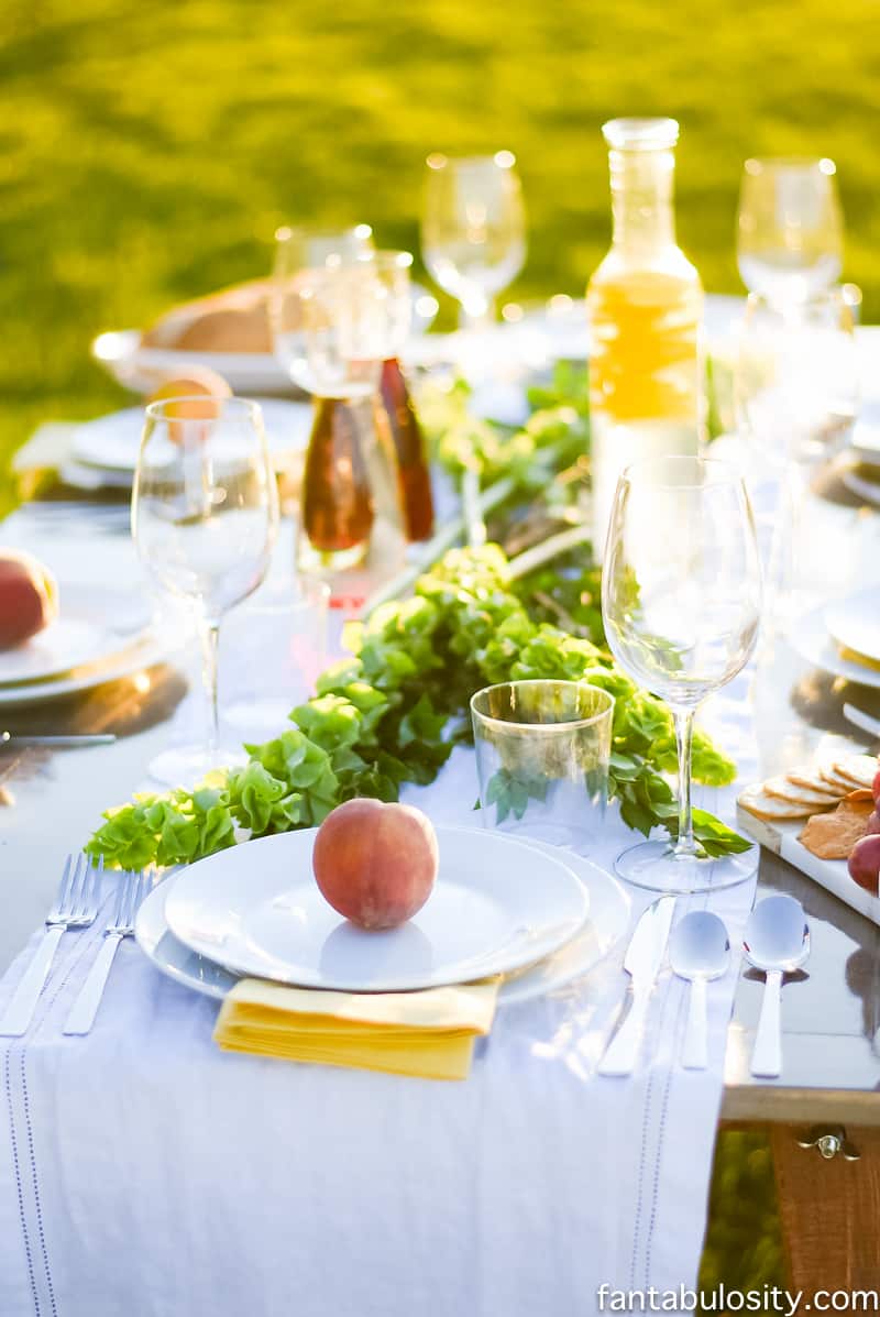 Pop Up Backyard Dinner Party Fantabulosity