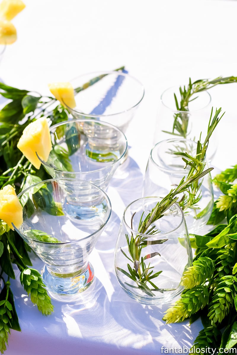 Drink Garnishes for Summer Outdoor Party