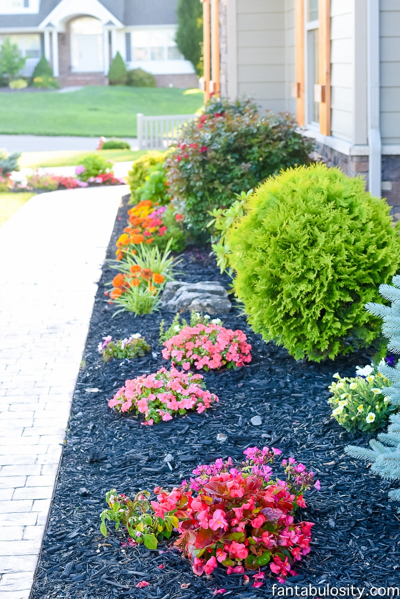 Front Porch Landscaping Fantabulosity