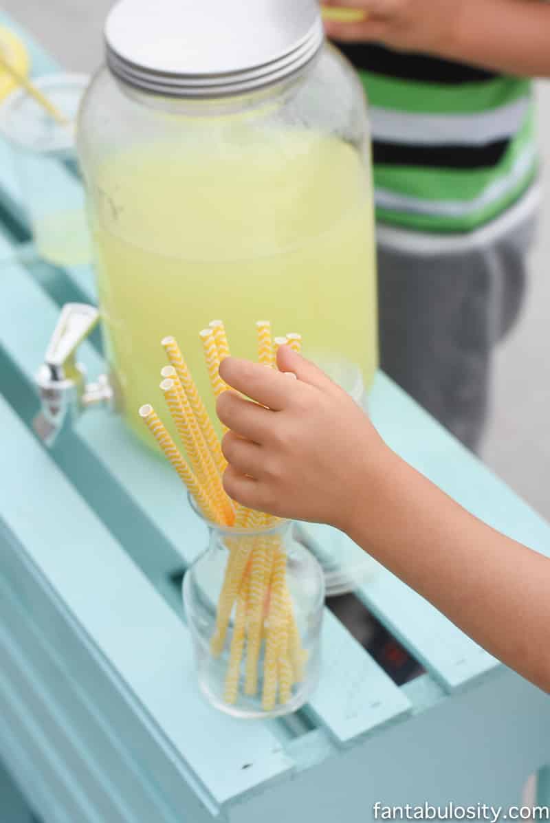 lemonade stand ideas