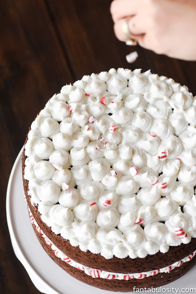 Peppermint Mocha Crunch Cake Recipe, fantabulosity.com