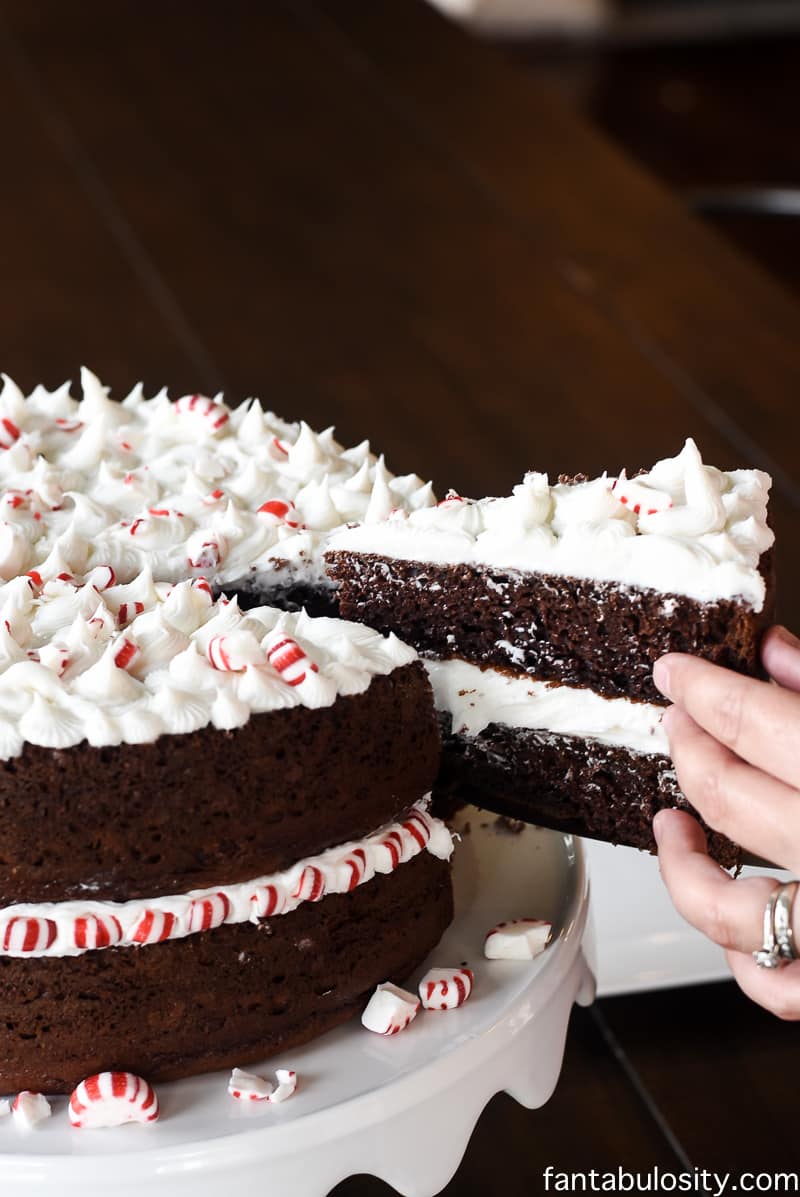 Peppermint Mocha Crunch Cake Recipe, fantabulosity.com