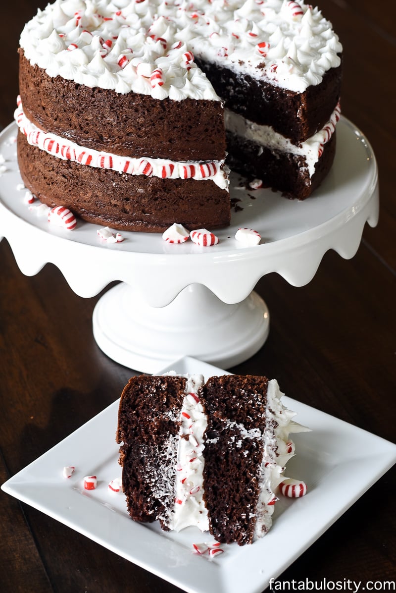 Peppermint Mocha Crunch Cake Recipe, fantabulosity.com