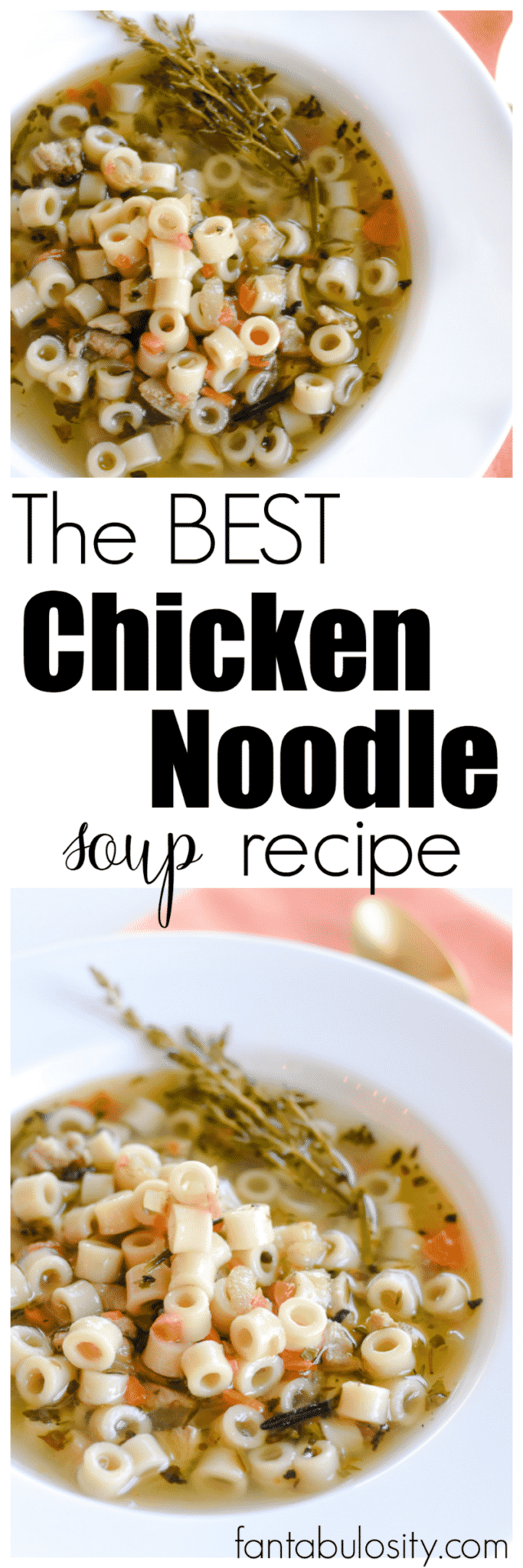 Quick and Easy Chicken Noodle Soup Recipe