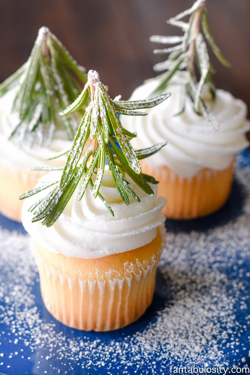 Winter cupcake sitting on blue plate.