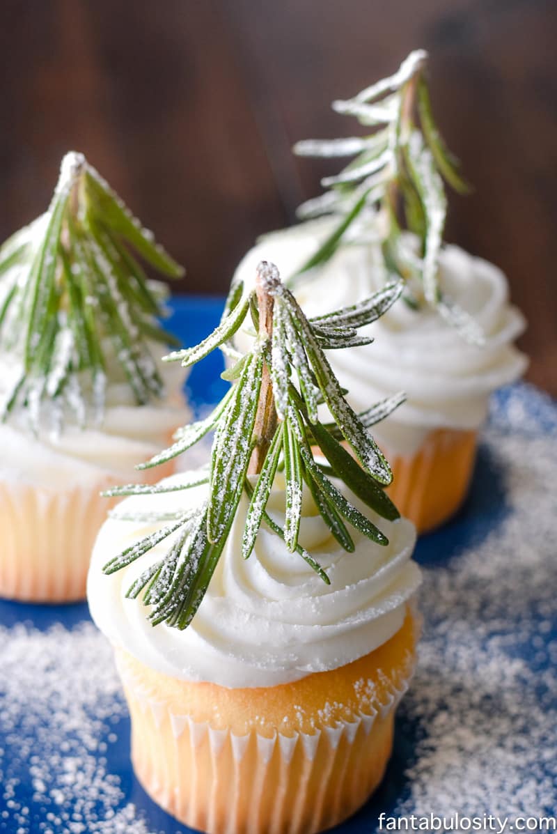 Vanilla cupcakes sitting on blue plate, with rosemary leaves in the top.