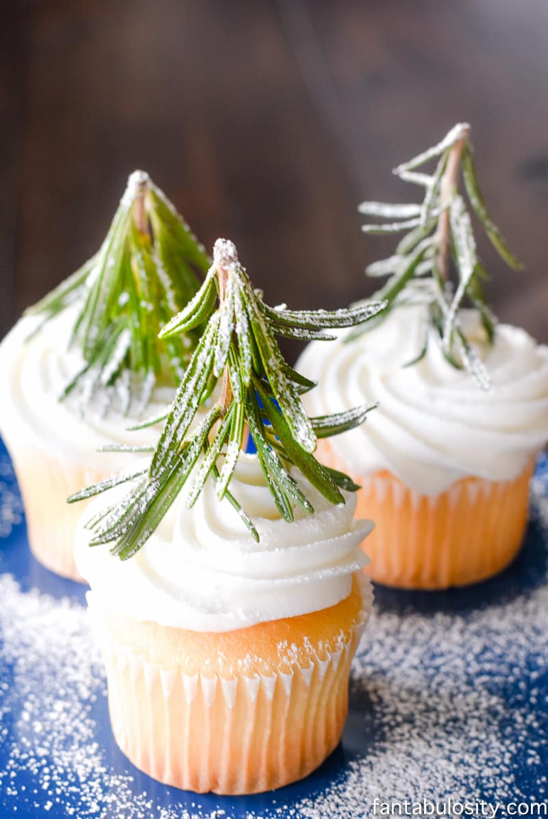 Oh my gosh, how easy and cute! Tree Forest Winter Cupcakes