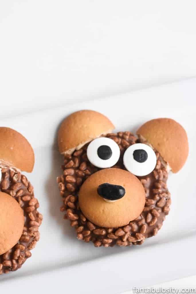 Teddy Bear Food Idea - DIY Cookies. So cute for a woodland friends, camping, or forest party as a party favor too! 