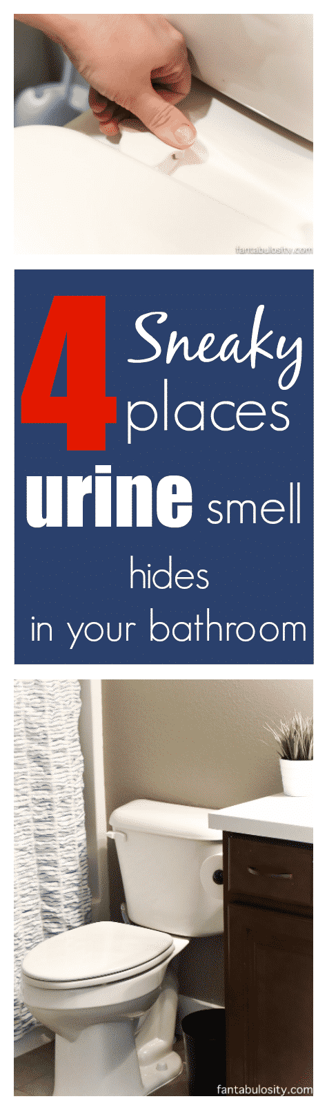 The areas that can get overlooked in the bathroom that traps that pesky urine smell, and how to get rid of it!