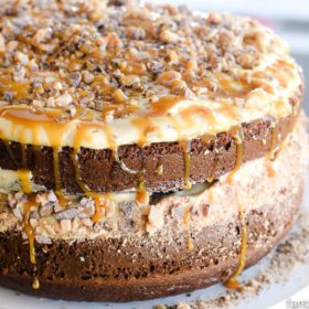 O-M-G!! This sounds crazy-good! Chocolate Peanut Butter Toffee Salted Caramel Cake