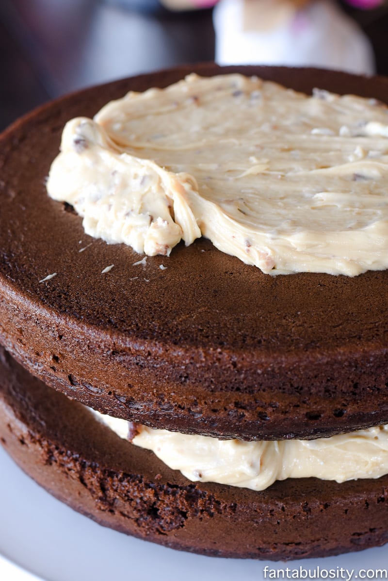 O-M-G!! This sounds crazy-good! Chocolate Peanut Butter Toffee Salted Caramel Cake