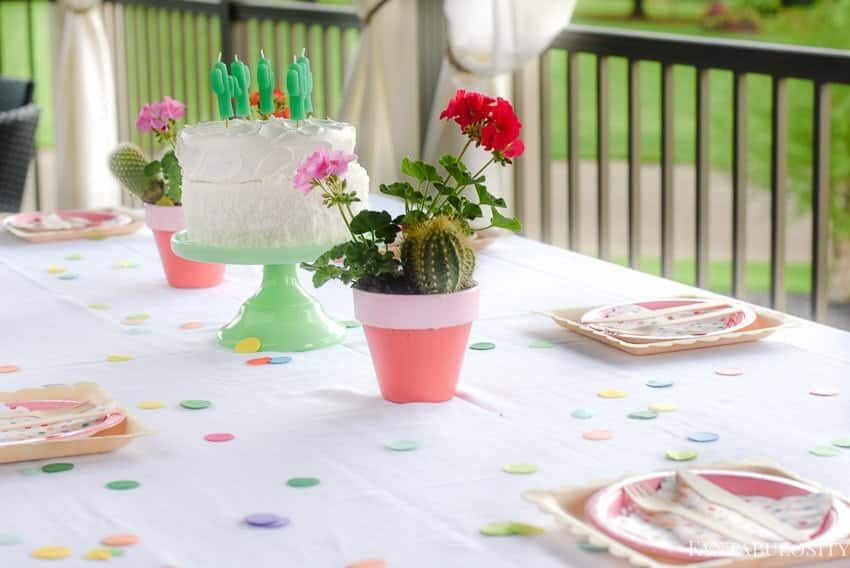 Fiesta Theme Party: A confetti and pastel fiesta party!