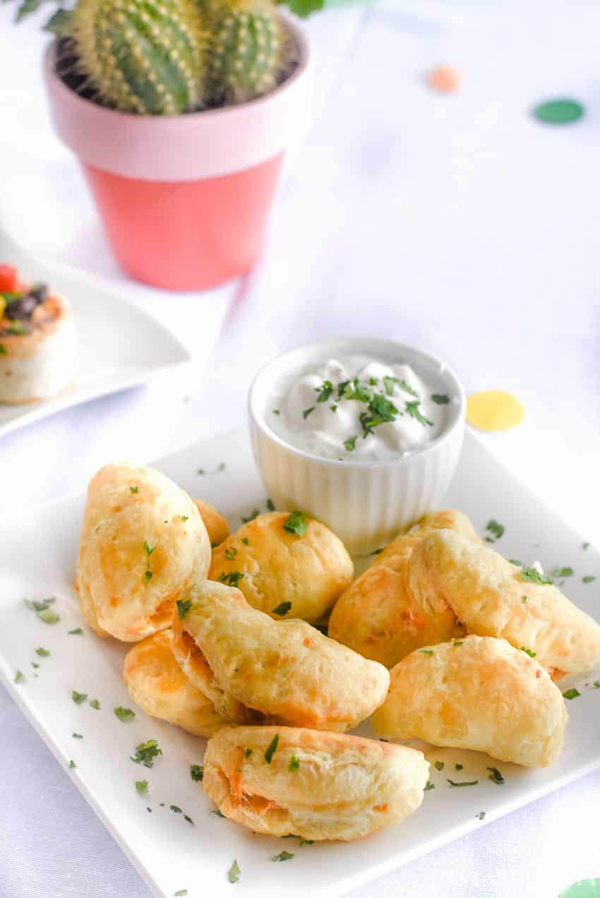 Chicken empanada appetizer for a fiesta party!