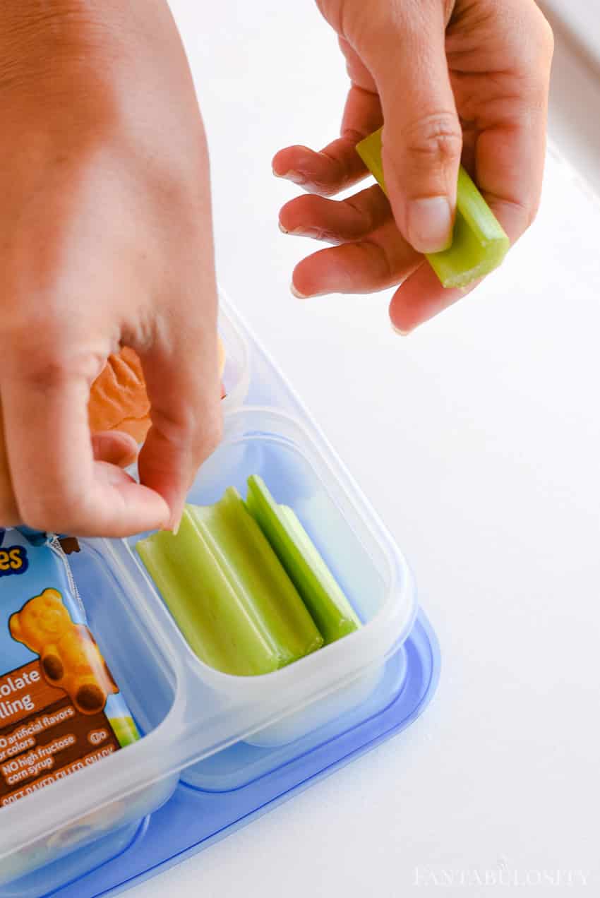 Celery Stick for school lunches in bento boxes