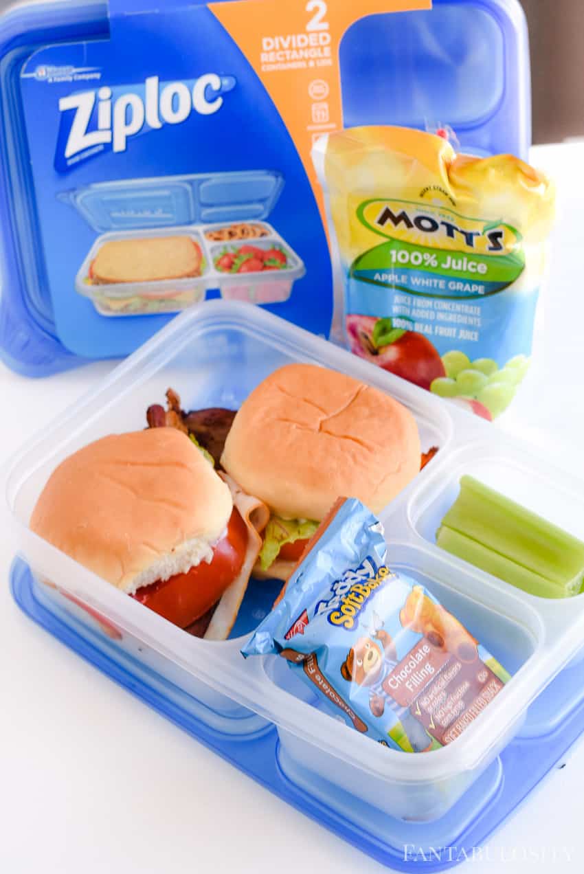 School lunch ideas using apple juice and bento boxes