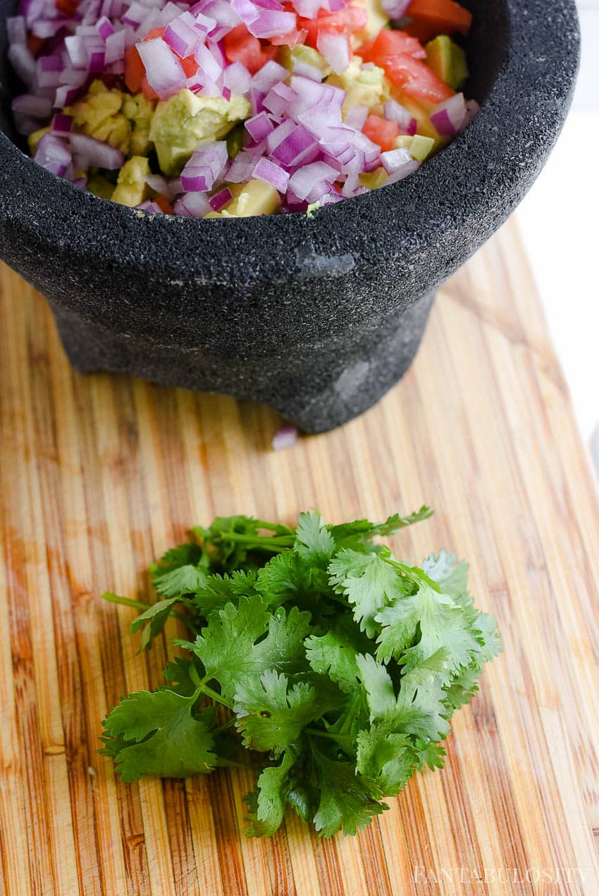 Pinch of fresh cilantro in authentic guacamole