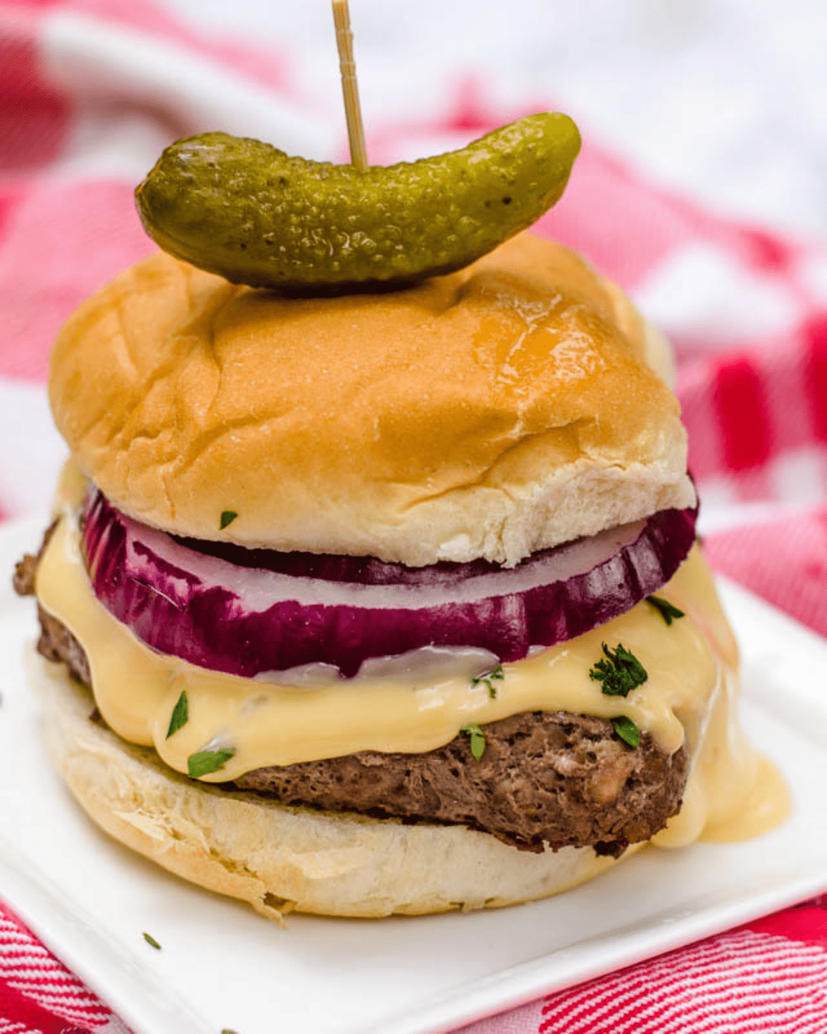 Burger on a bun with red onion, pickles and cheese