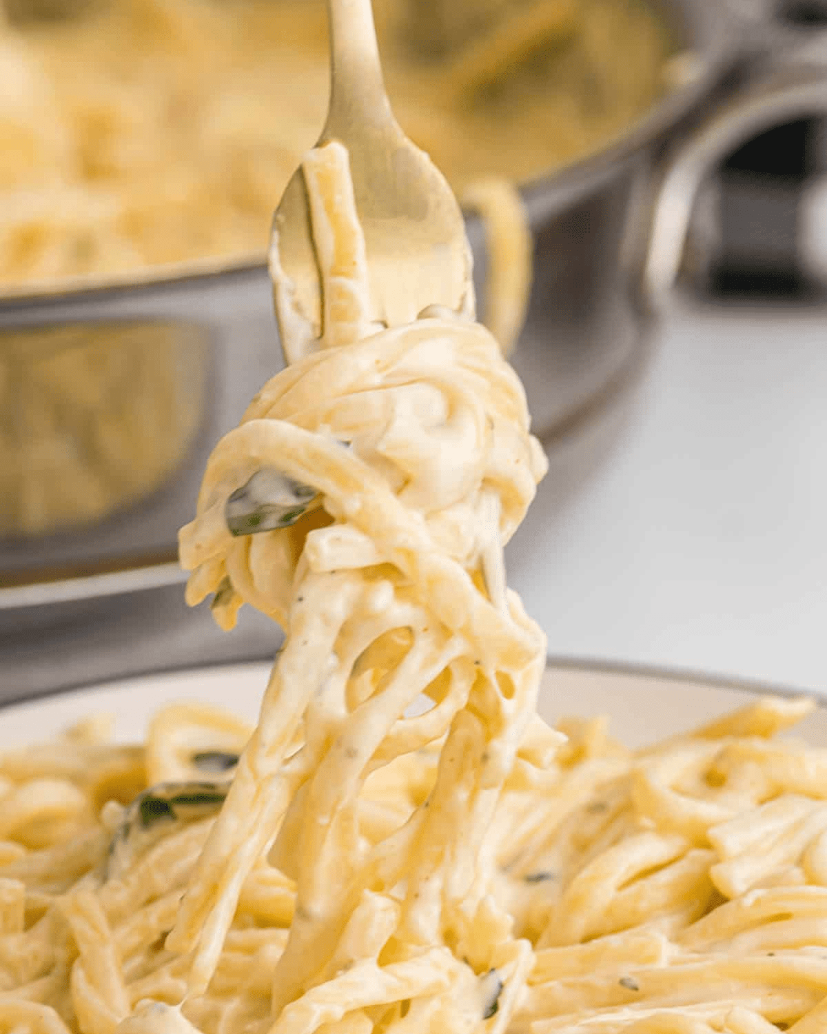 Cream cheese pasta swirled on a fork