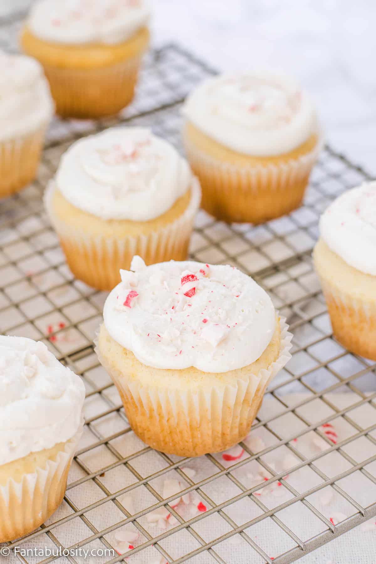 Peppermint cupcakes on baking rack