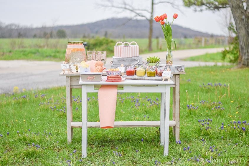 Hot Dog Bar Ideas and Toppings Suggestions for a party