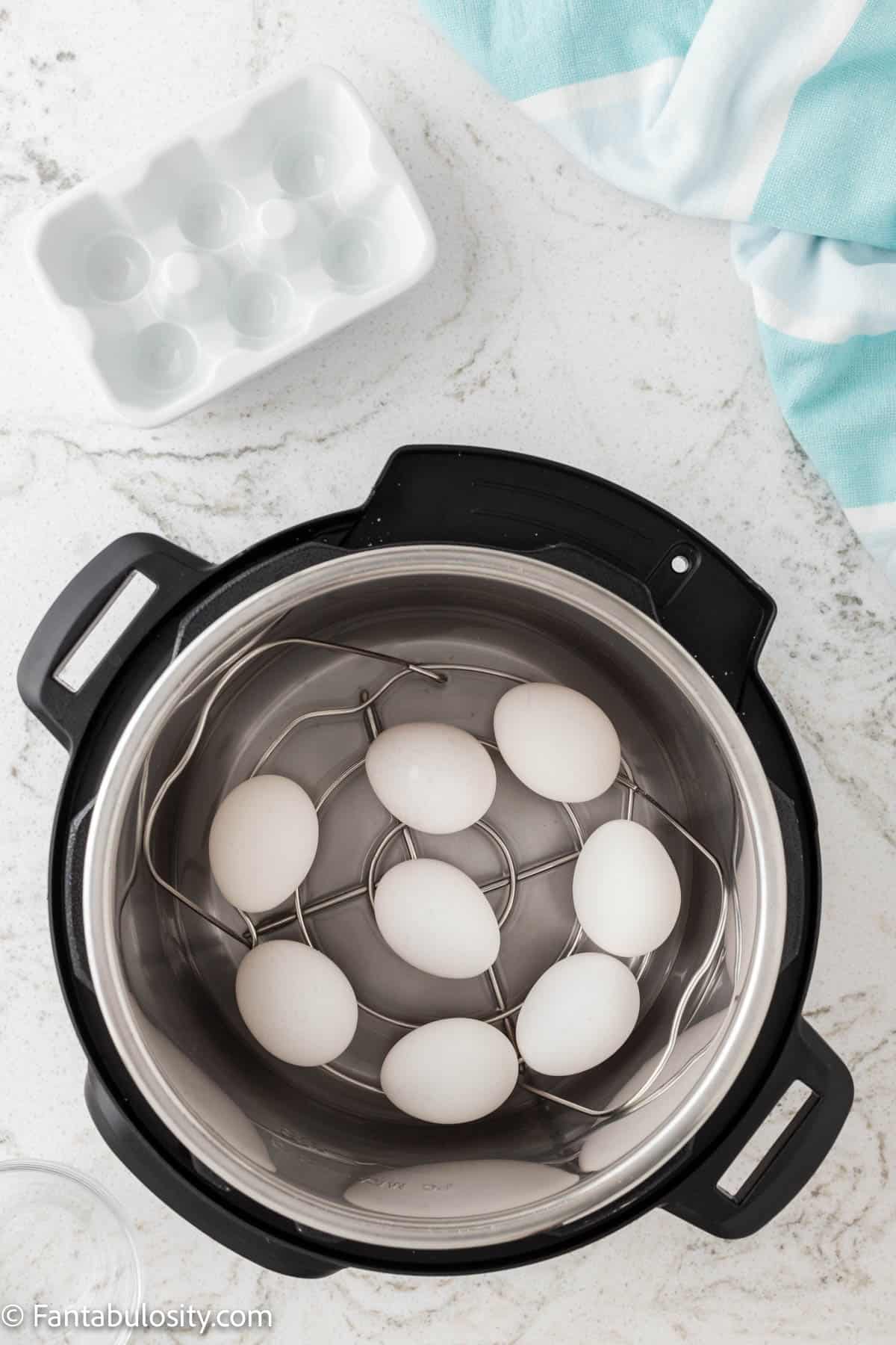 eggs inside of Instant Pot