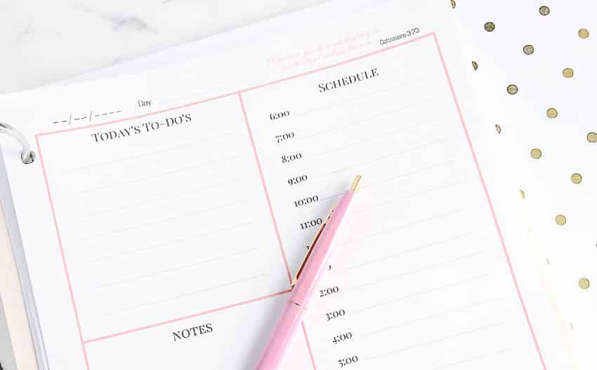 Daily Planner Printable - Free Download