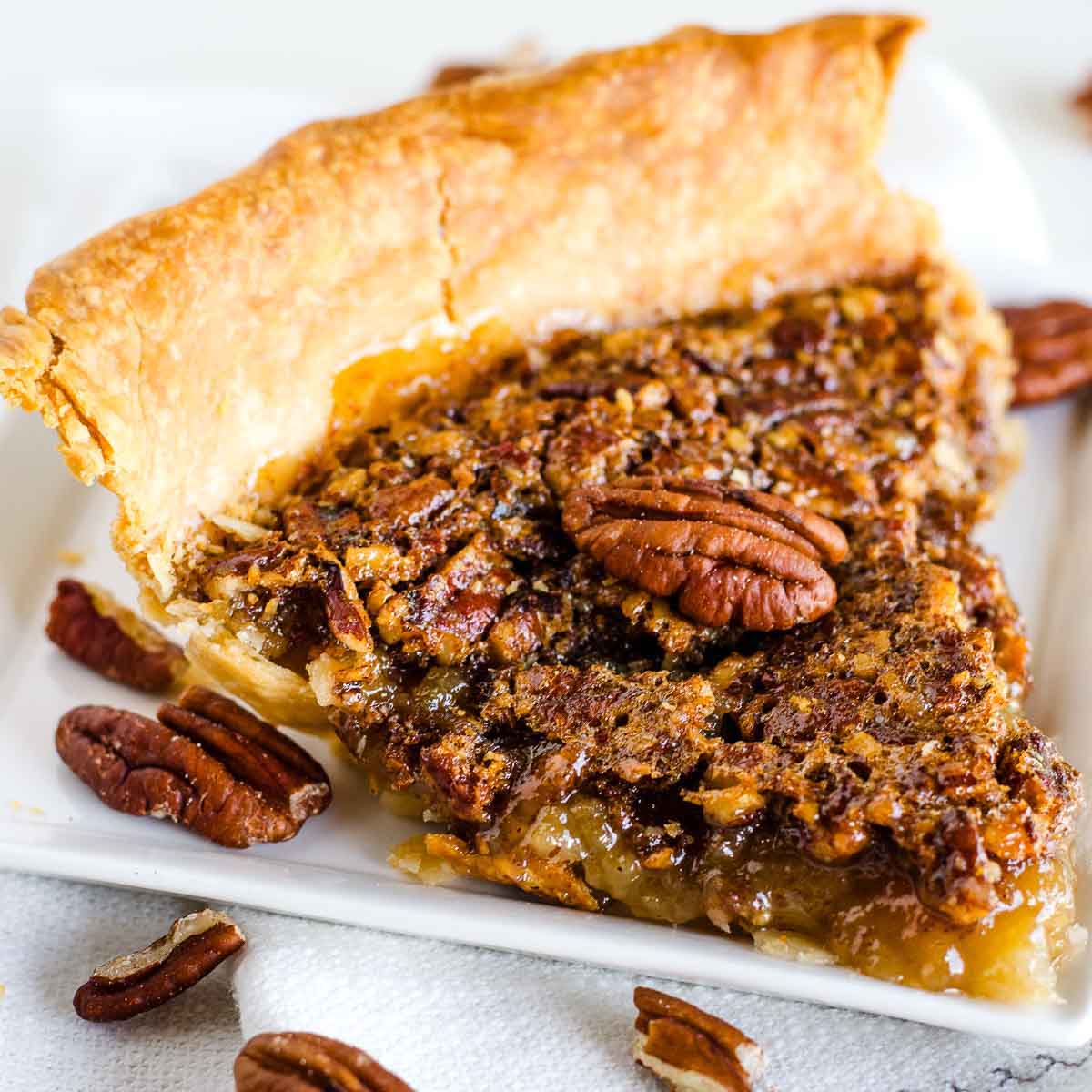 A slice of pecan pie on a white plate, with pecans sprinkled beside it.