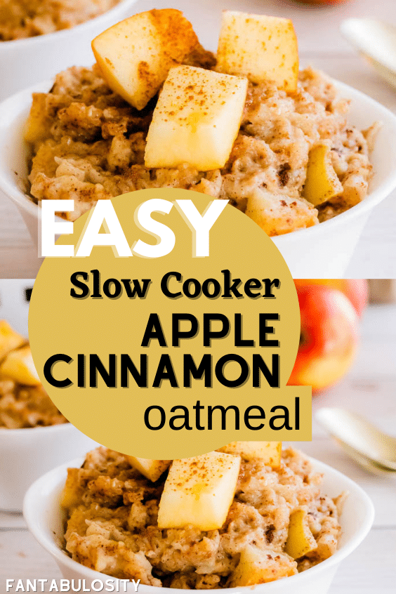 Easy Slow Cooker Apple Cinnamon Oatmeal