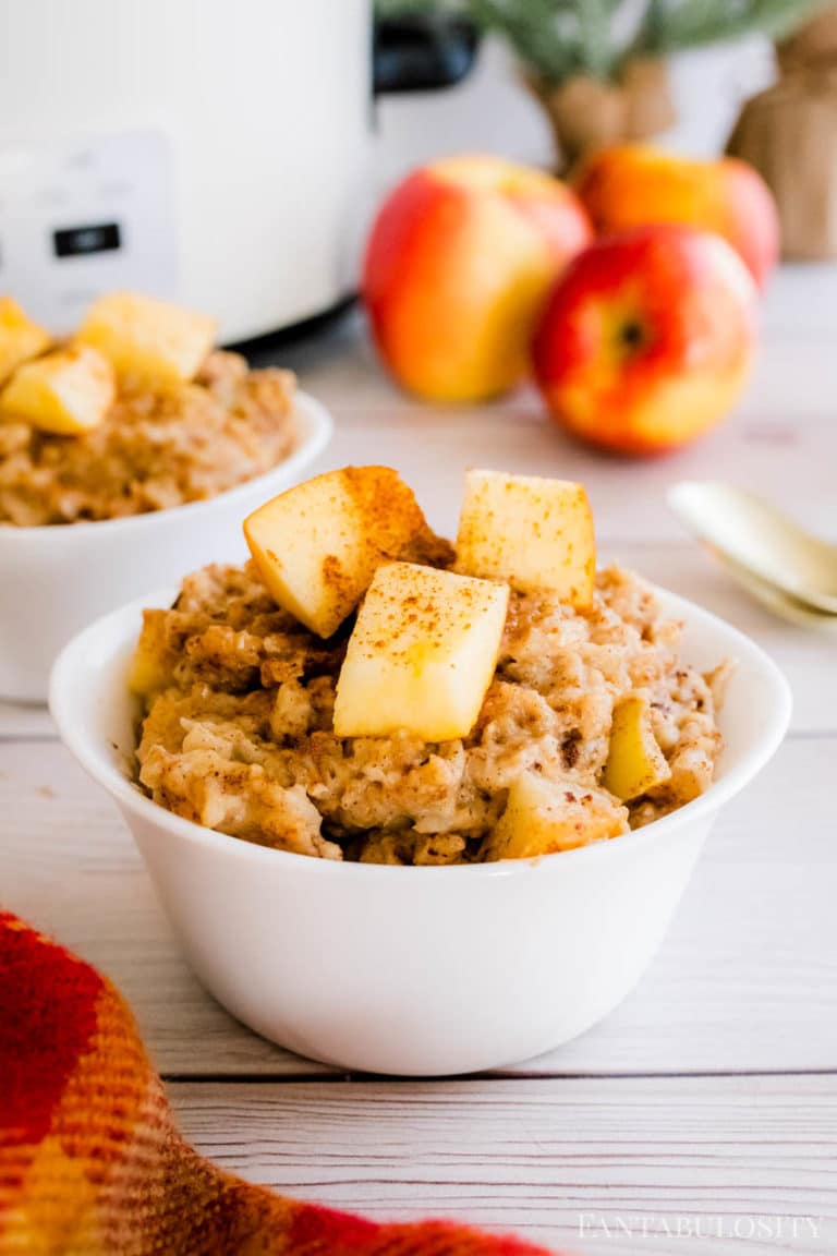 EASY Slow Cooker Apple Cinnamon Oatmeal Fantabulosity