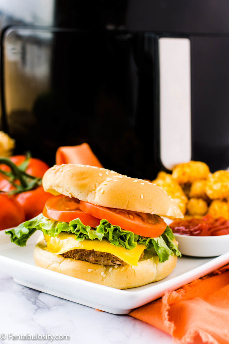 Easy & Juicy Air Fryer Turkey Burgers Fantabulosity