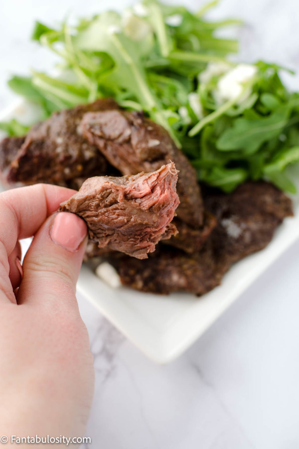 Easy Air Fryer Venison (Deer Meat) In 7 Minutes Fantabulosity