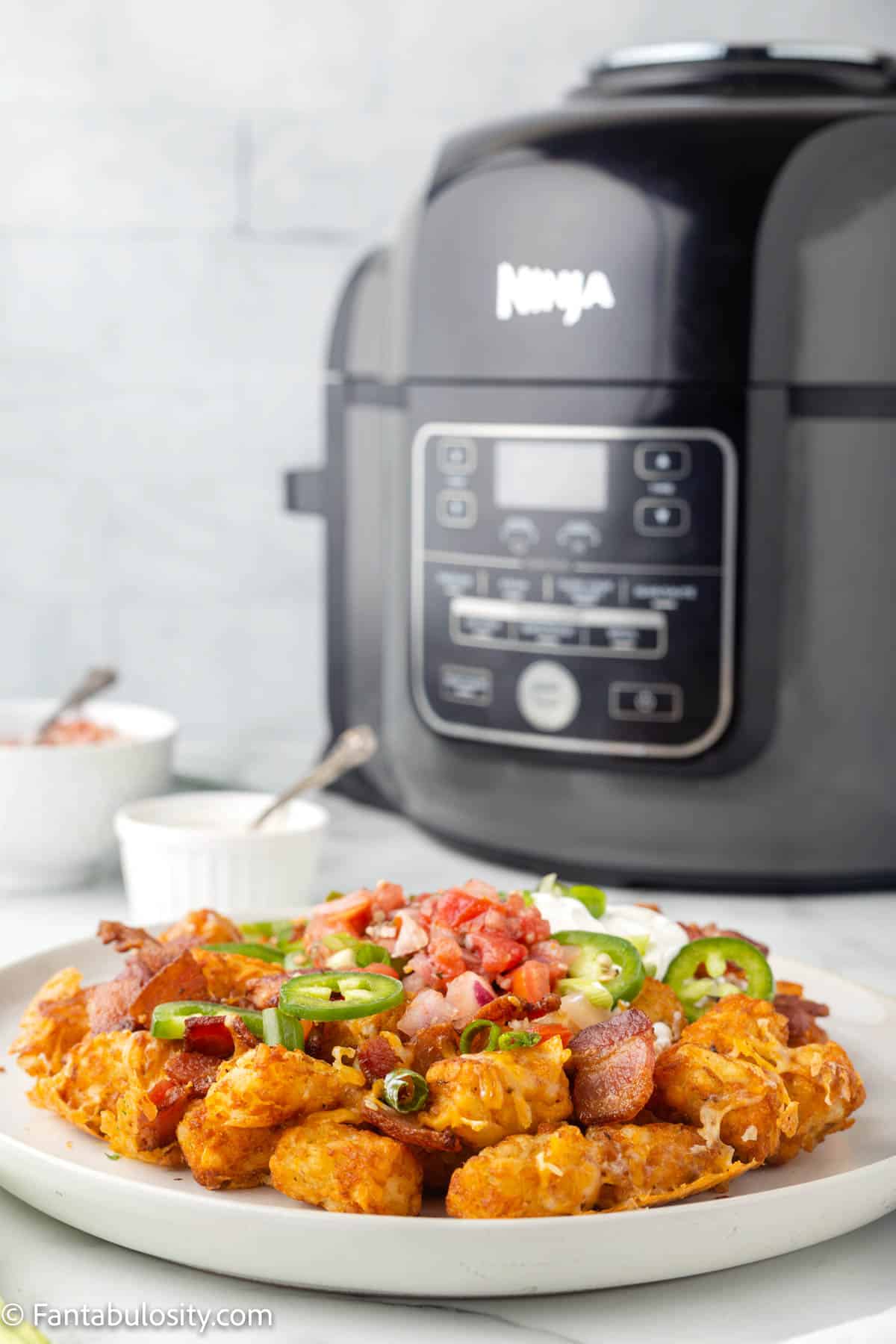 Loaded tater tots in the air fryer