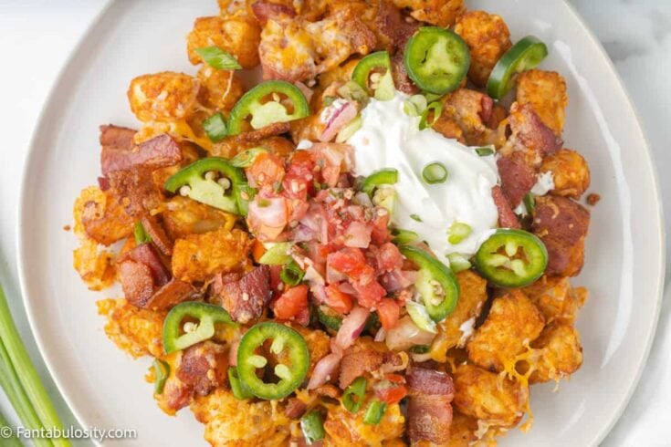 air fryer tater tots - loaded