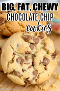 big fat chewy chocolate chip cookies